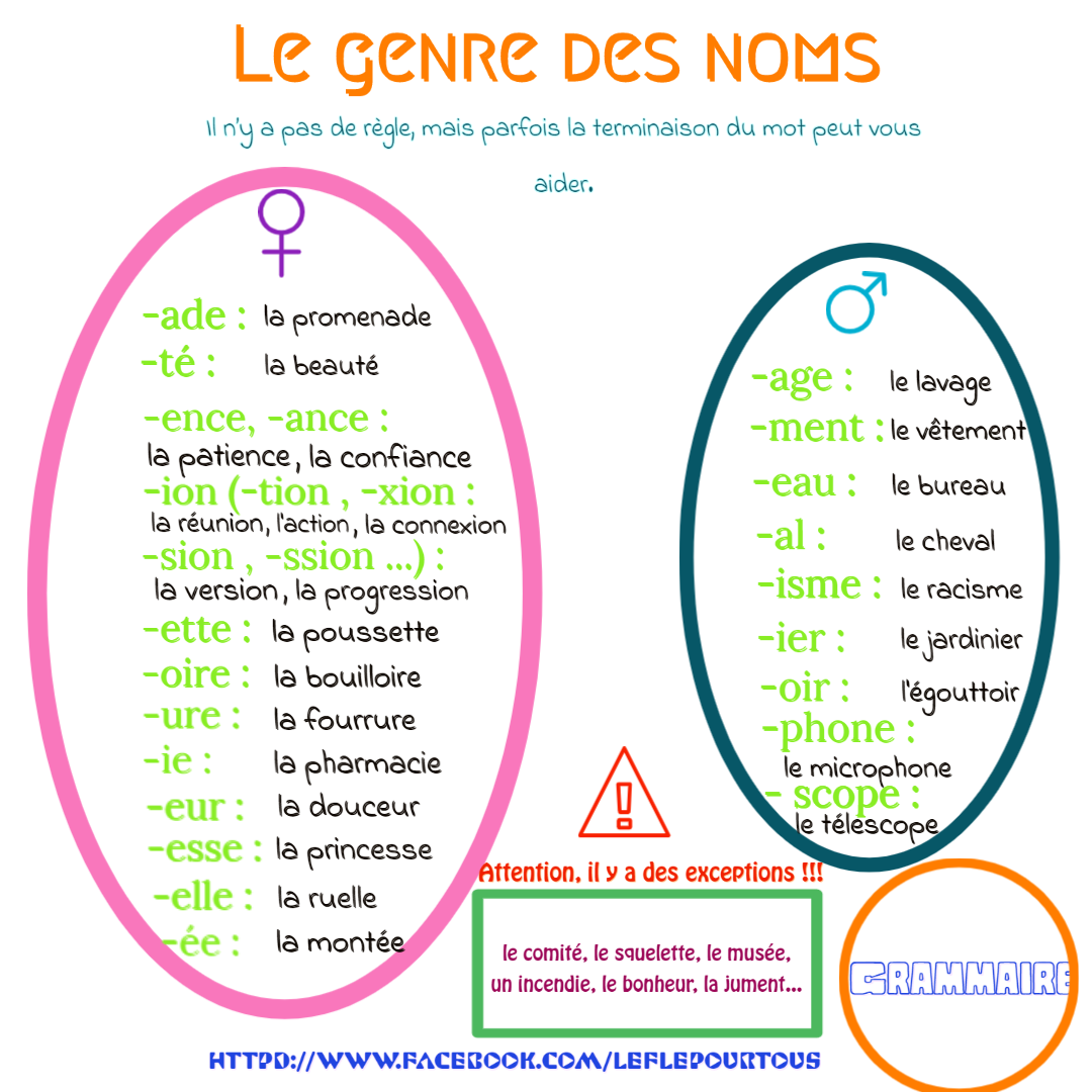 Le Genre Des Noms Apprendre Le Français Par Lart